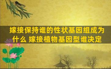 嫁接保持谁的性状基因组成为什么 嫁接植物基因型谁决定